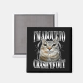 Aimant Je vais bientôt m'écraser Drôle de chat qui fixe B (Recto/Verso)