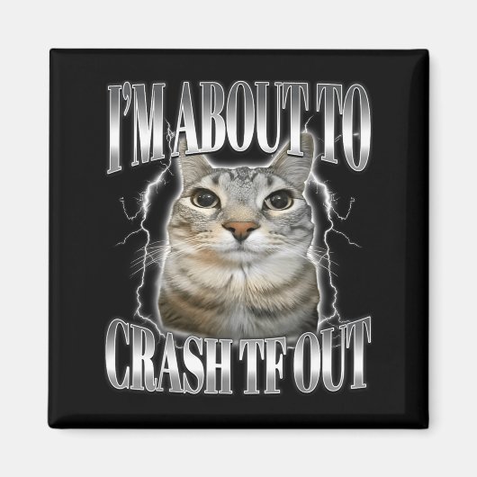 Aimant Je vais bientôt m'écraser Drôle de chat qui fixe B (Devant)