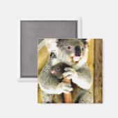 Aimant Je vais protéger_ (Recto/Verso)