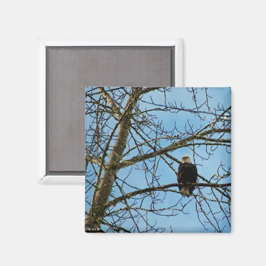 Aimant Je vous regarde (Recto/Verso)