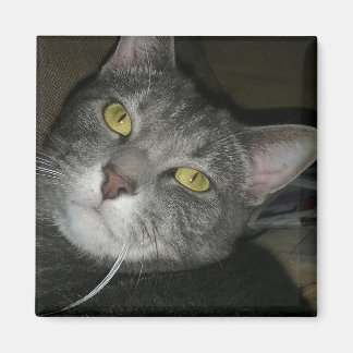 Aimant Je vous vois !