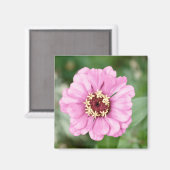 Aimant Jean Beauty (Recto/Verso)