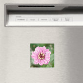 Aimant Jean Beauty (In Situ (Lave-vaisselle))