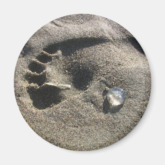 Aimant Jelly Foot (Devant)