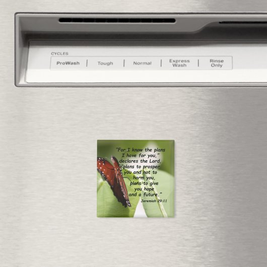 Aimant Jérémie 29:11 (2) (In Situ (Lave-vaisselle))