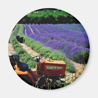 Aimant Jersey lavender farm, Jersey Channel Islands, Engl