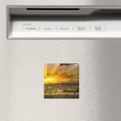 Aimant Jérusalem (In Situ (Lave-vaisselle))