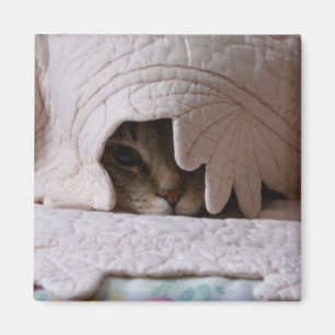 Aimant Jeter un coup d'oeil l'aimant de Tom