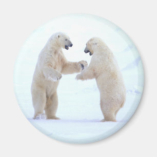 Aimant Jeu d'ours blanc
