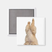 Aimant Jeu perse (3 ans) (Recto/Verso)