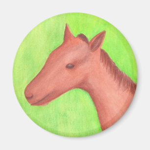 Aimant Jeune cheval, poney, en aquarelle