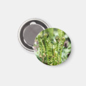 Aimant Jeune fougère qui s'éveille dans le jardin  (Recto/Verso)