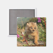 Aimant Jeune Lynx du Canada, Alaska (Recto/Verso)