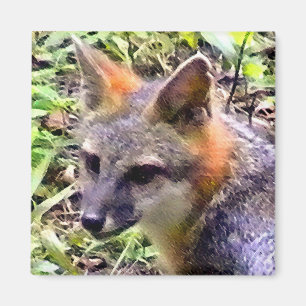 AIMANT JEUNE RENARD