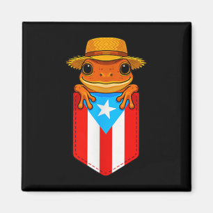 Aimant Jibaro Coqui Frog Porto Rico Drapeau Boricua Cket