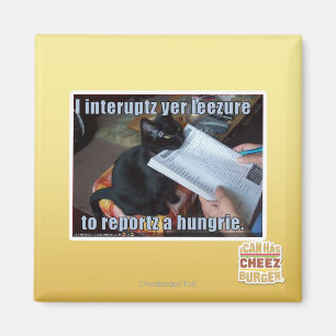 Aimant J'interromps YER Leezure
