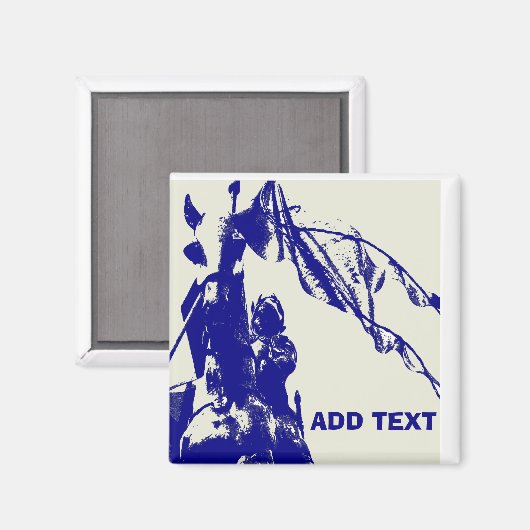 Aimant Joan De L'Aimant Arc (Recto/Verso)