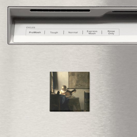 Aimant Johannes Vermeer Femme avec un trait (In Situ (Lave-vaisselle))