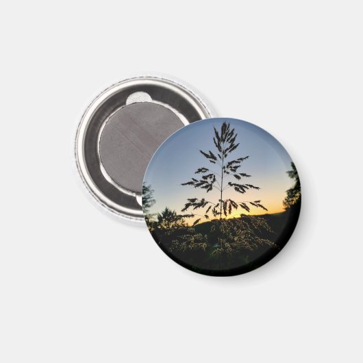 Aimant Johnson Grass (Recto/Verso)