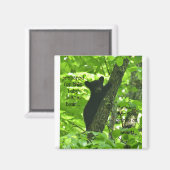 Aimant Joli bébé ours noir (Recto/Verso)