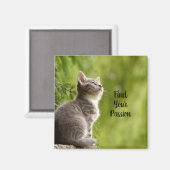 Aimant Joli Chat Gris (Recto/Verso)