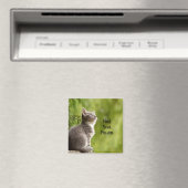 Aimant Joli Chat Gris (In Situ (Lave-vaisselle))