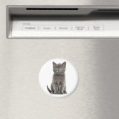 Aimant Joli Chat Gris Chaton Chat Gris (In Situ (Lave-vaisselle))