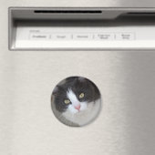Aimant Joli chat gris et blanc (In Situ (Lave-vaisselle))