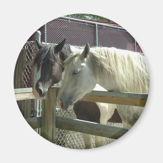 Aimant Joli cheval (Devant)