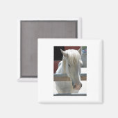 Aimant Joli Cheval Blanc (Recto/Verso)