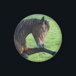 Aimant Joli Cheval Brown allongé dans l'herbe<br><div class="desc">Un aimant avec une belle photo représentant un beau cheval de baie brun posé dans l'herbe,  à l'air paisible et content.</div>