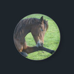 Aimant Joli Cheval Brown allongé dans l'herbe<br><div class="desc">Un aimant avec une belle photo représentant un beau cheval de baie brun posé dans l'herbe,  à l'air paisible et content.</div>