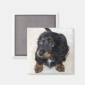 Aimant Joli Chien chiot noir Dachshund (Recto/Verso)