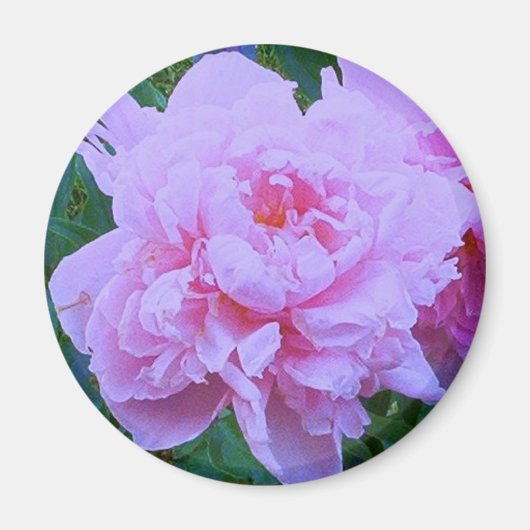 Aimant "Joli en rose" (Devant)