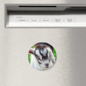 Aimant Joli goat (In Situ (Lave-vaisselle))