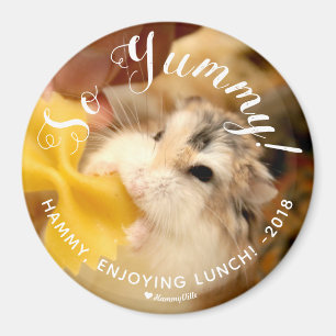 Aimant Joli Hamster So Yummy