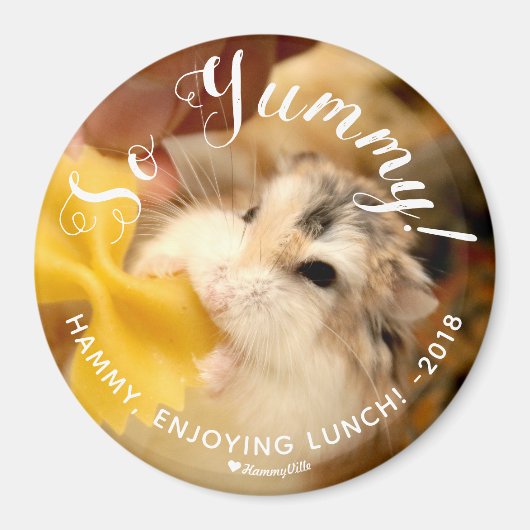 Aimant Joli Hamster So Yummy (Devant)