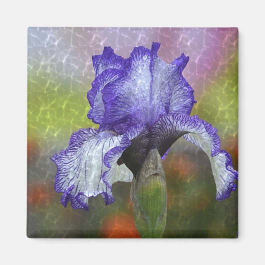 Aimant Joli Iris Violet (Devant)