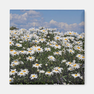 Aimant Joli jardin blanc