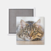Aimant Joli Kitty Vous regarde (Recto/Verso)