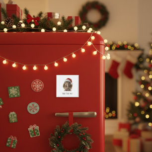 Aimant Joli Kiwi de Noël, coutume