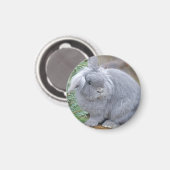 Aimant Joli lapin gris (Recto/Verso)