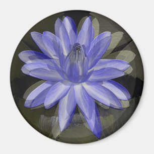 Aimant Joli lis bleu.....