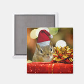 Aimant Joli Noël Chipmunk (Recto/Verso)