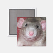 Aimant Joli Rat Dumbo (Recto/Verso)