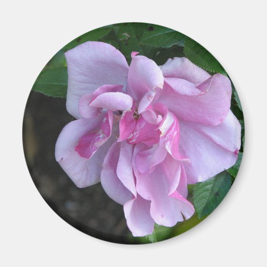 Aimant Jolie Dame 092 (Devant)