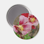 Aimant Jolie Fleur (Recto/Verso)