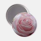 Aimant Jolie fleur de rose (Recto/Verso)