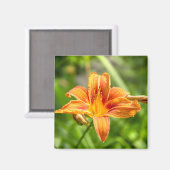 Aimant Jolie grande fleur Lily photo (Recto/Verso)