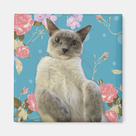 Aimant Jolie Kitty (Devant)